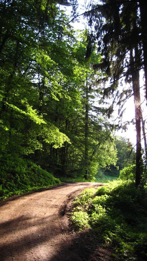 Gaestezimmer Waldblick Wimbach Eksteriør bilde