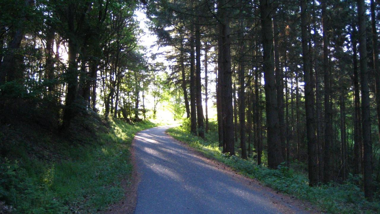 Gaestezimmer Waldblick Wimbach Eksteriør bilde